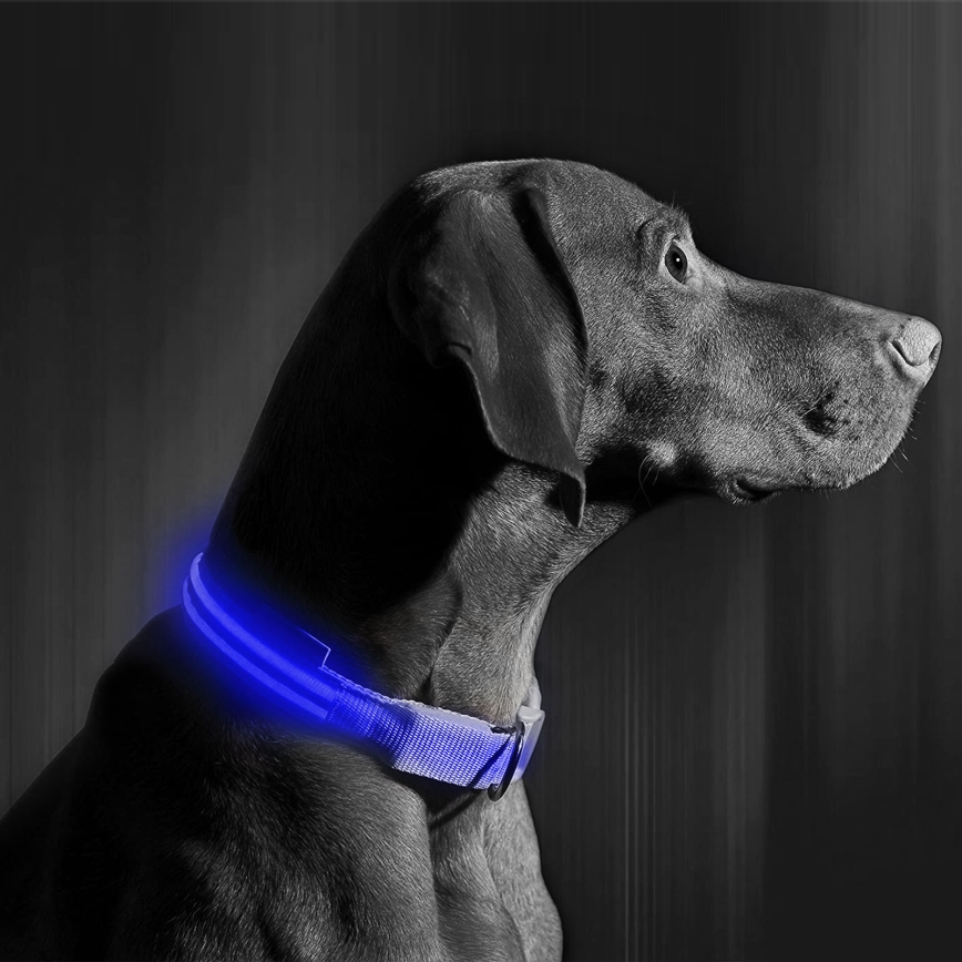 LED Rechargeable hund collar 40-48 cm 1xCR2032/5V/40 mAh blå