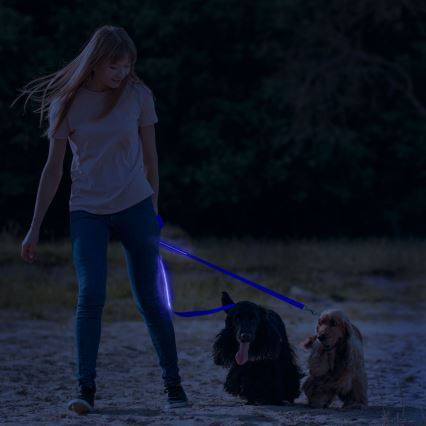 LED Rechargeable leash 120 cm 2xCR2032/5V/40 mAh blå
