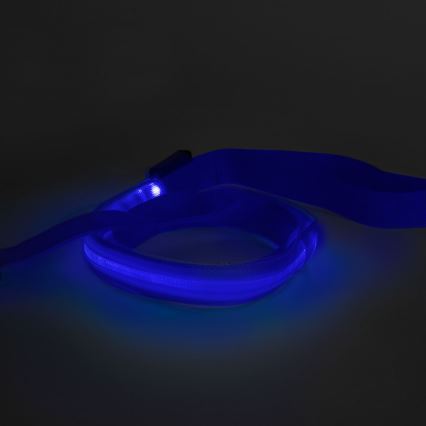 LED Rechargeable leash 120 cm 2xCR2032/5V/40 mAh blå
