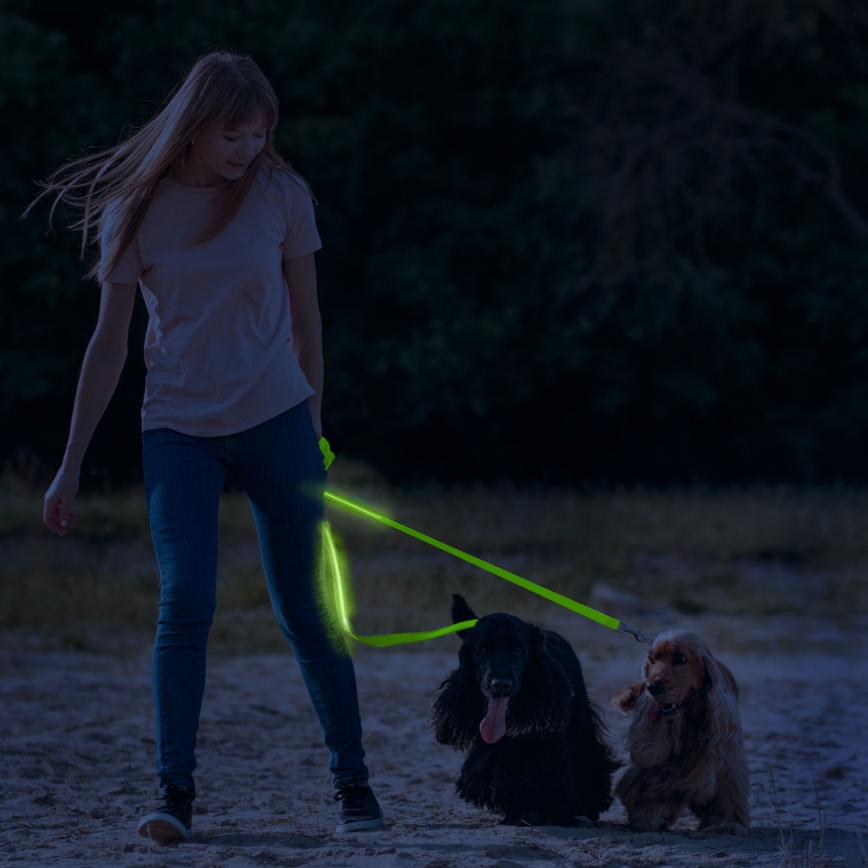 LED Rechargeable leash 120 cm 2xCR2032/5V/40 mAh grön