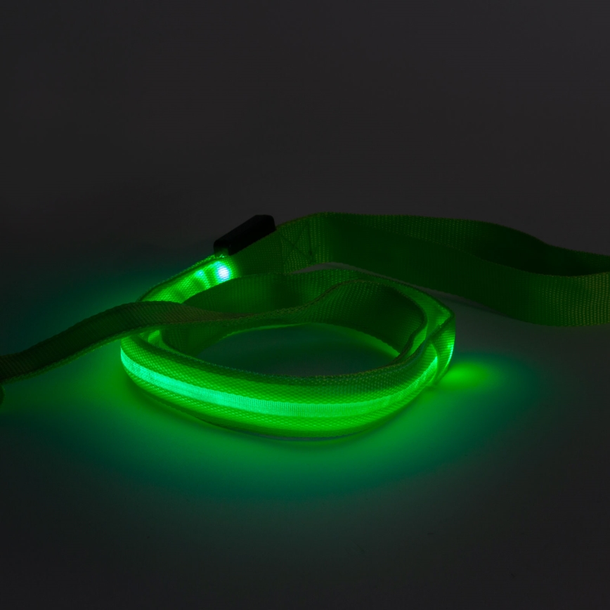 LED Rechargeable leash 120 cm 2xCR2032/5V/40 mAh grön