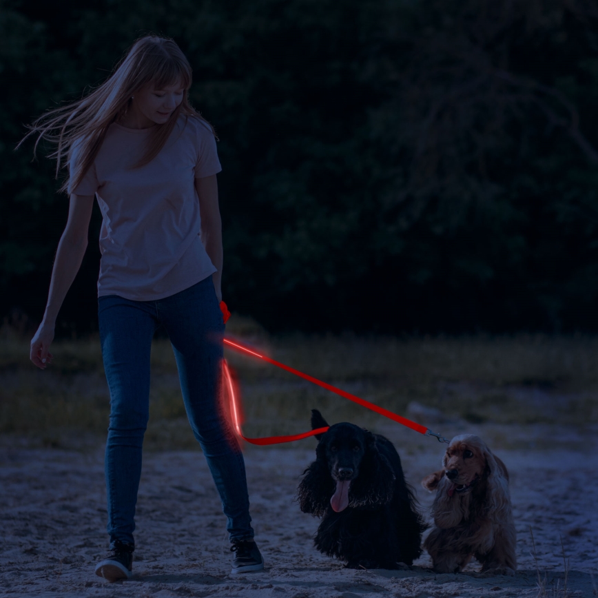 LED Rechargeable leash 120 cm 2xCR2032/5V/40 mAh röd