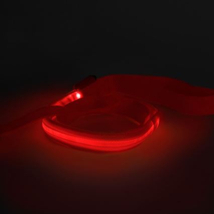 LED Rechargeable leash 120 cm 2xCR2032/5V/40 mAh röd