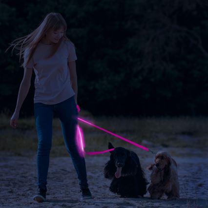 LED Rechargeable leash 120 cm 2xCR2032/5V/40 mAh rosa