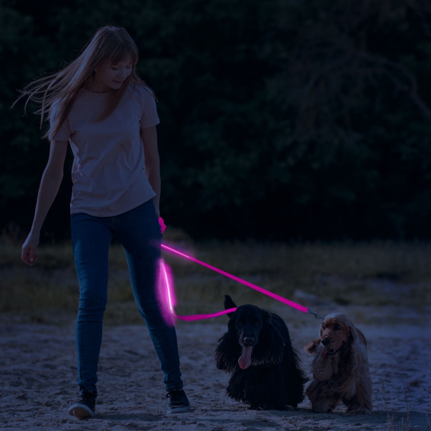 LED Rechargeable leash 120 cm 2xCR2032/5V/40 mAh rosa