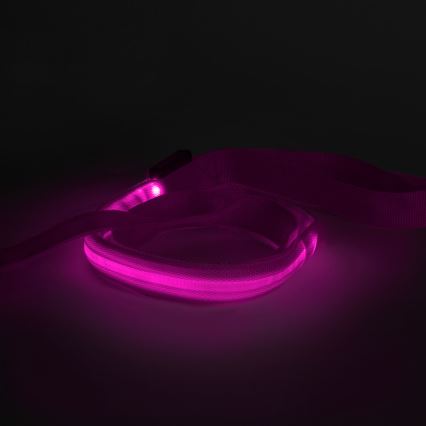 LED Rechargeable leash 120 cm 2xCR2032/5V/40 mAh rosa