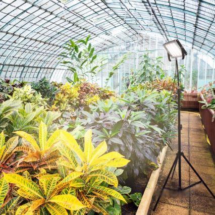 LED-reflektor med stativ för växtodling FIRON LED/45W/230V IP54 svart
