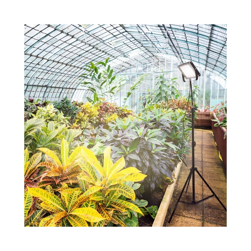 LED-reflektor med stativ för växtodling FIRON LED/45W/230V IP54 svart