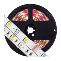 LED RGB Dimbar ljusslinga 5m LED/19W/12V IP65