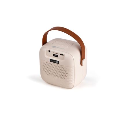 CONNECT IT CSP-1010-BG - RGB-LED-högtalare med 2 trådlösa mikrofoner (2Mic), 5 W/1200 mAh + 2x 400 mAh, krämvit/guld