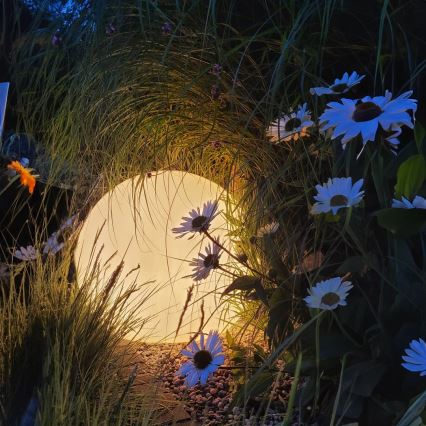 LED RGB Ljusreglerad utomhus lampa GLOBO 1xE27/8,5W/230V diameter 60 cm IP44 + fjärrkontroll