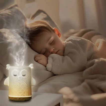 LED RGBW Aroma diffuser LED/8W/230V 100 ml uggla