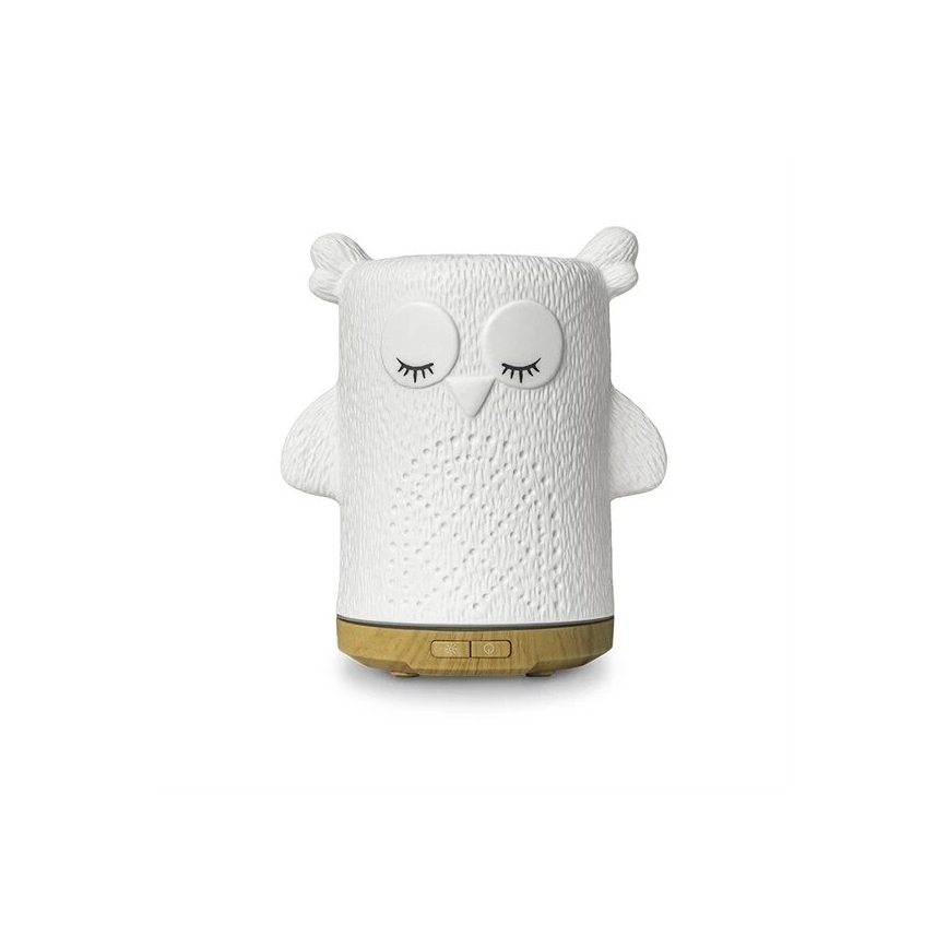 LED RGBW Aroma diffuser LED/8W/230V 100 ml uggla