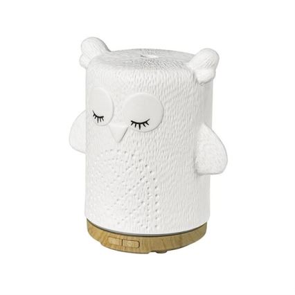 LED RGBW Aroma diffuser LED/8W/230V 100 ml uggla
