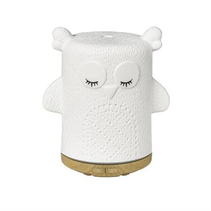 LED RGBW Aroma diffuser LED/8W/230V 100 ml uggla
