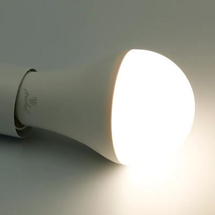 LED RGBW dimbar lampa A60 E27/15W/230V 2700-6500K Wi-Fi Tuya