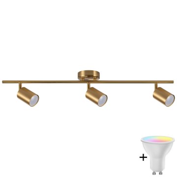 LED RGBW dimbar spotarmatur GOLDI 3xGU10/6,5W/230V 2700-6500K Wi-Fi guld