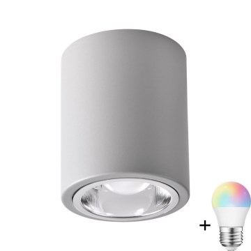 LED RGBW Dimmable Spotljus JUPITER 1xE27/6,5W/230V 2700-6500K Wi-Fi Ø 9,8 cm grå