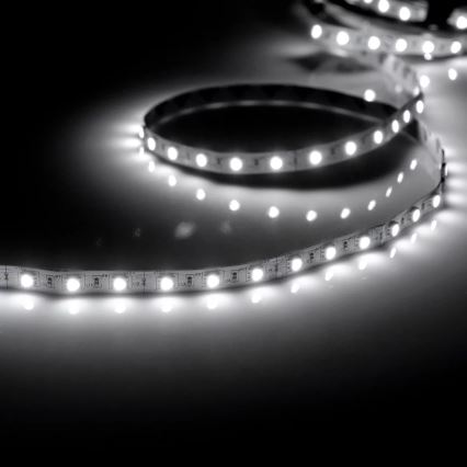 LED list 5m 28W/12V IP20 6500K