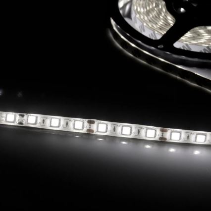 LED list 5m 28W/12V IP20 6500K