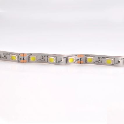 LED list 5m 28W/12V IP20 6500K