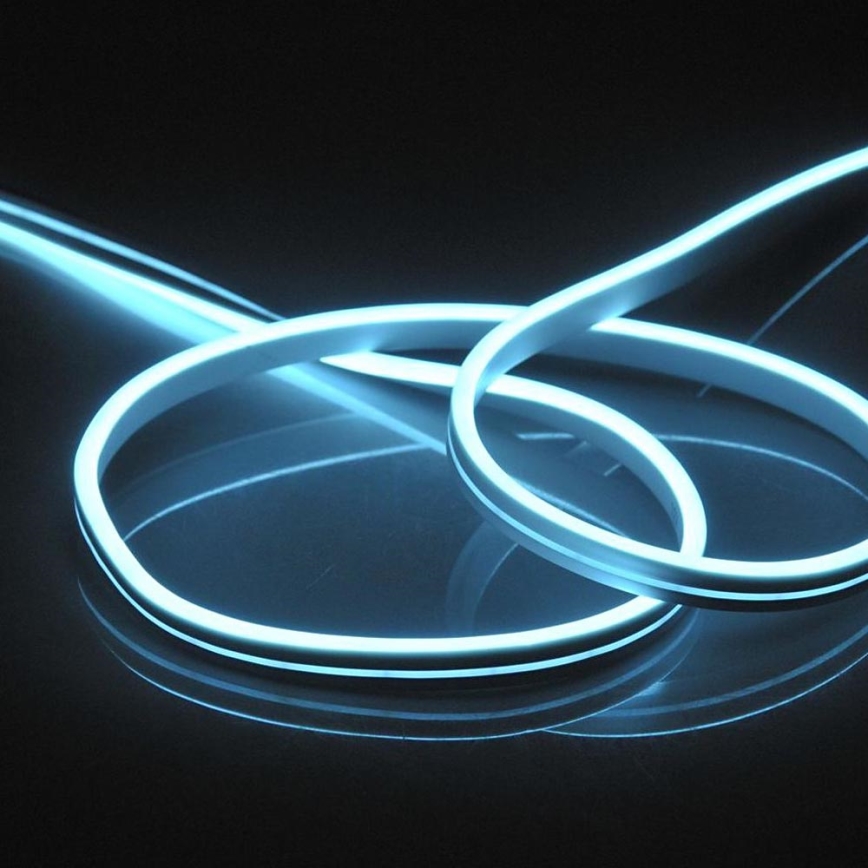 LED-slinga NEON 5 m LED/27W/12V IP65 blå