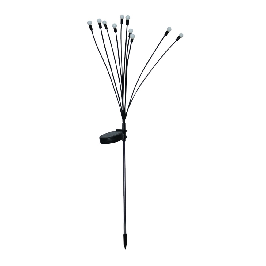 LED Solcell dekorativ belysning 10xLED/1,2V 3000K 73 cm 600 mAh IP44