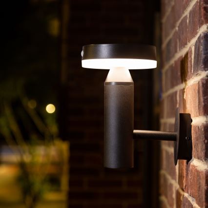 LED solcell väggbelysning med sensor GWINEA LED/4,5W/3,7V IP44 svart