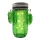 LED Solcellsbelysning  CACTUS LED/1,2V IP44