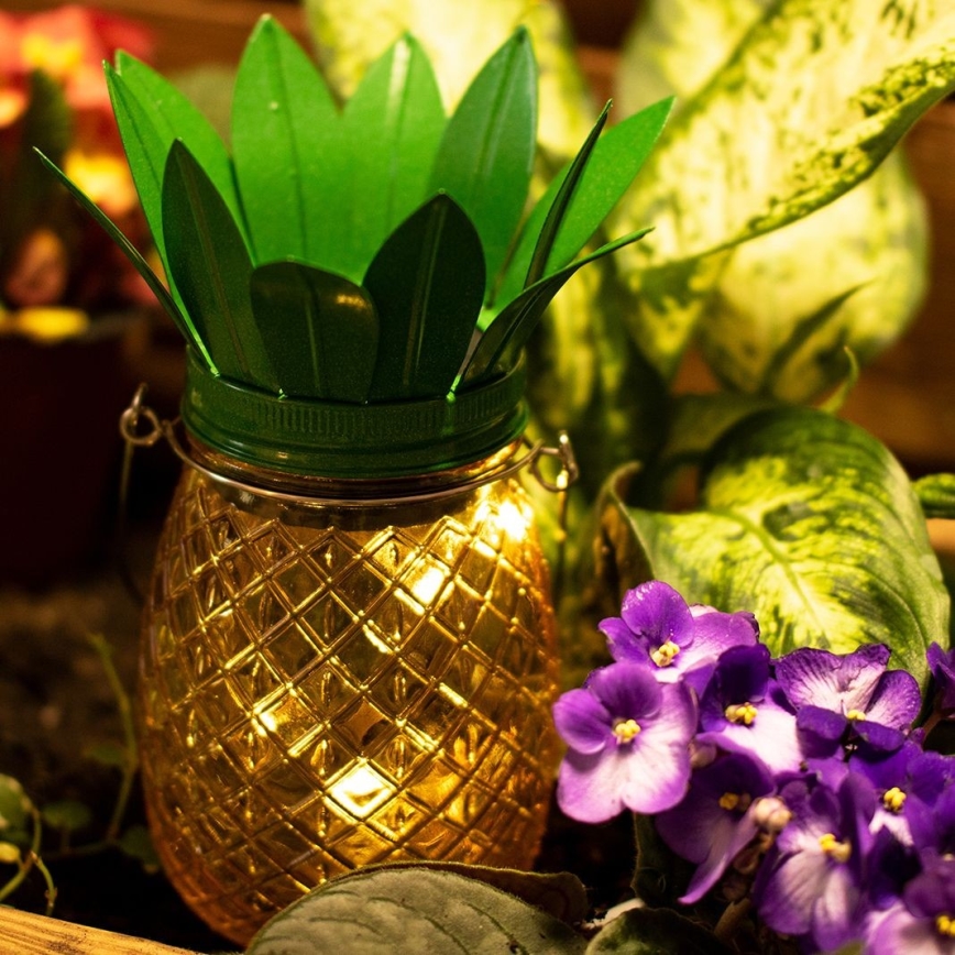 LED solcellsbelysning JAR LED/1,2V IP44 ananas
