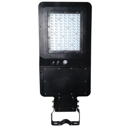 LED Solcellsgatulampa med sensor LED/40W/9,6V IP65 6000K 12000 mAh + fjärrkontroll