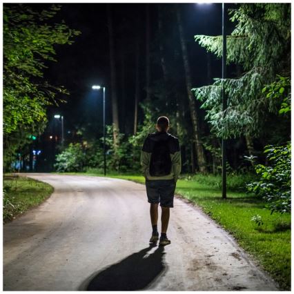 LED Dimmerbar gatulampor med solceller med rörelse- och skymningsgivare URBI LED/8W/3,2V 6500K IP54 10000 mAh + fjärrkontroll