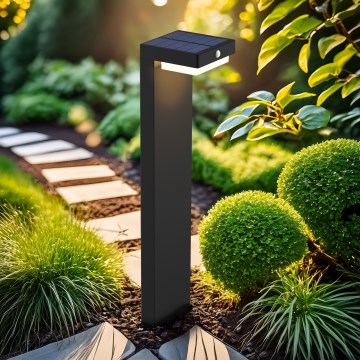 LED solcellslampa med en rörelse- och skymningssensor PALERMO LED/5W/2000 mAh IP54 svart