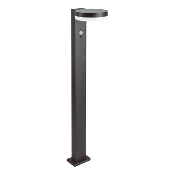 LED solcellslampa med sensor LED/2W/3,7V IP54 3000K rund svart