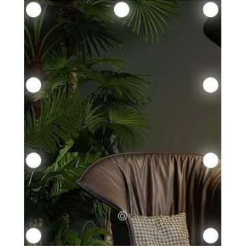 LED Spegel med belysning 9xLED/1W/230V 3000/4000/6000K 50x40 cm IP44