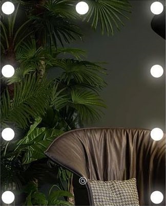 LED Spegel med belysning 9xLED/1W/230V 3000/4000/6000K 50x40 cm IP44