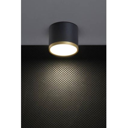 LED-spotlampa TUBA LED/9W/230V svart/guld