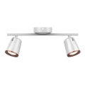LED spotlight 2xLED/5W/230V 3000K vit
