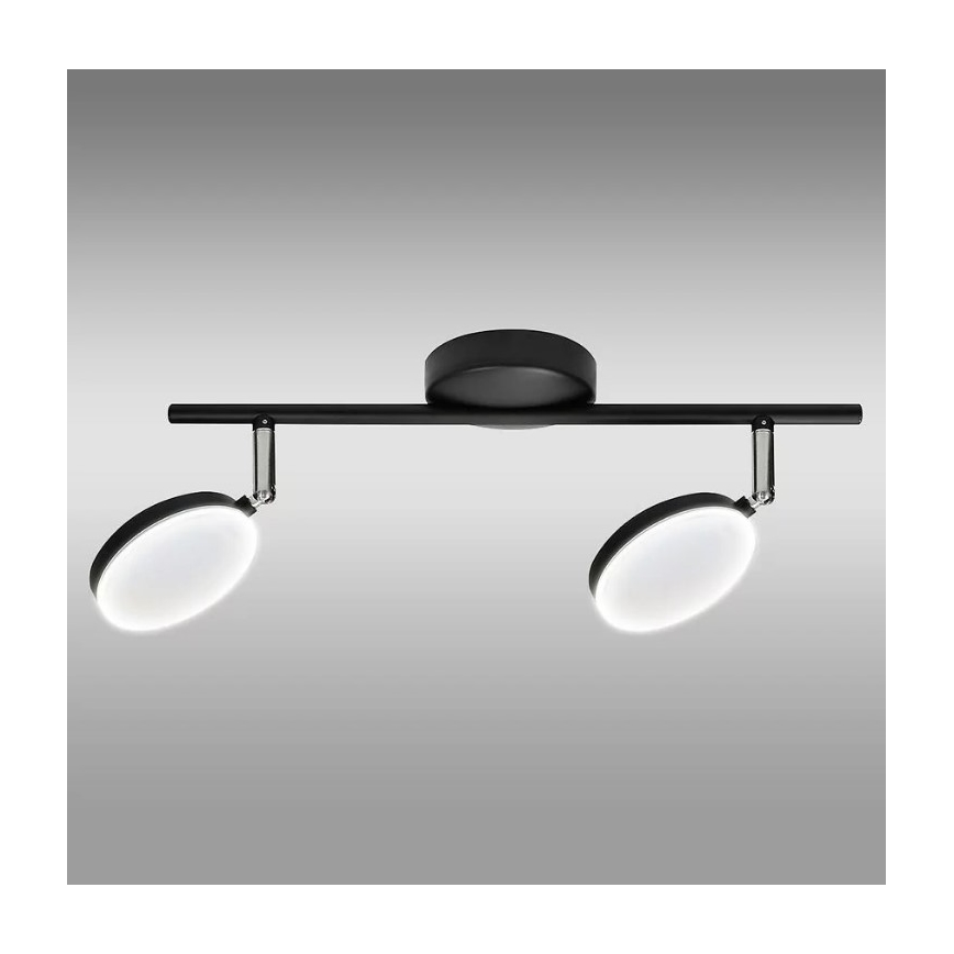 LED Spotlight  CAPRI 2xLED/5W/230V