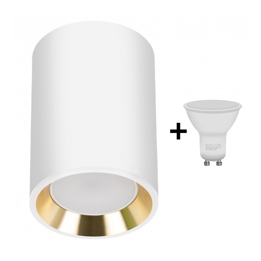 LED spotlight CHLOE 1xGU10/6W/230V rund vit/guld