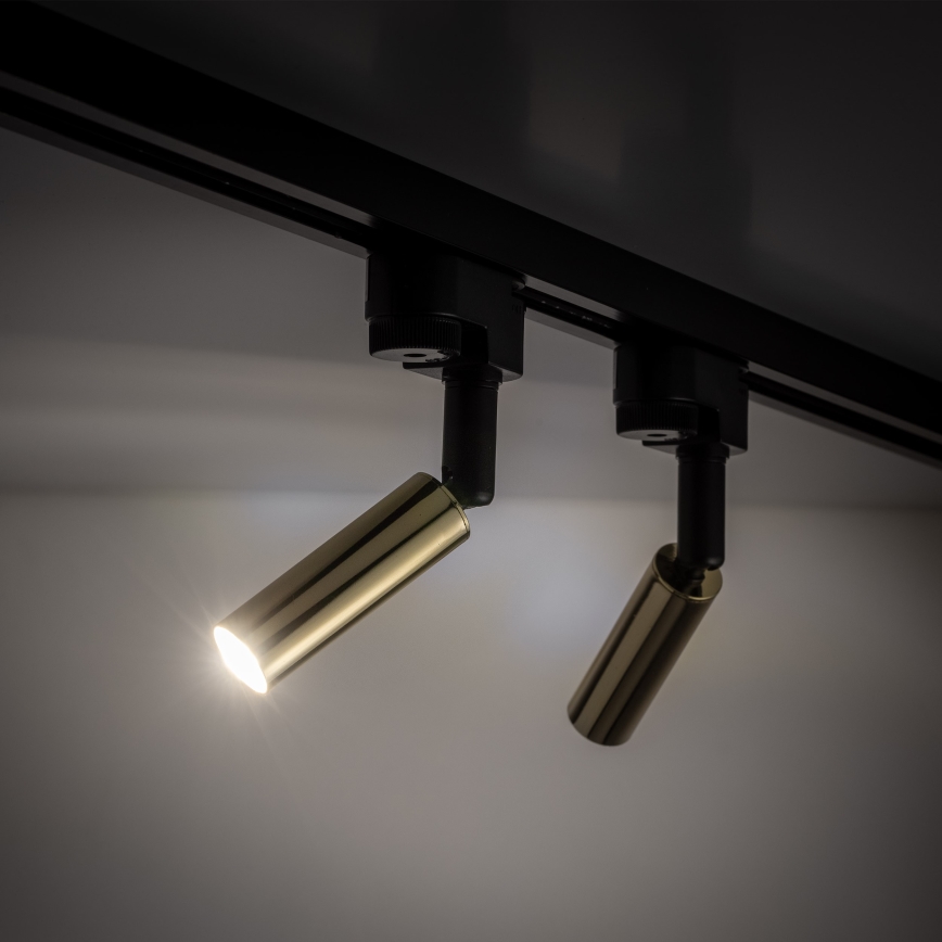 LED spotlight för 1-fas skensystem LAGOS 1xG9/3W/230V guld/svart