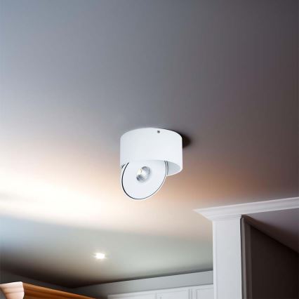 LED Flexibel spotlight LED/28W/230V 3000/4000/6400K CRI 90 vit