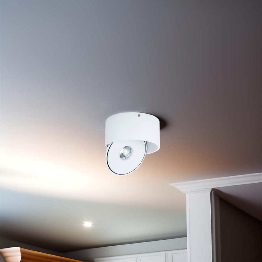 LED Flexibel spotlight LED/28W/230V 3000/4000/6400K CRI 90 vit