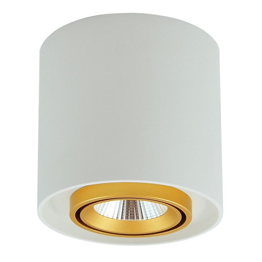 LED Spotlight XENO LED/15W/230V vit 1200lm