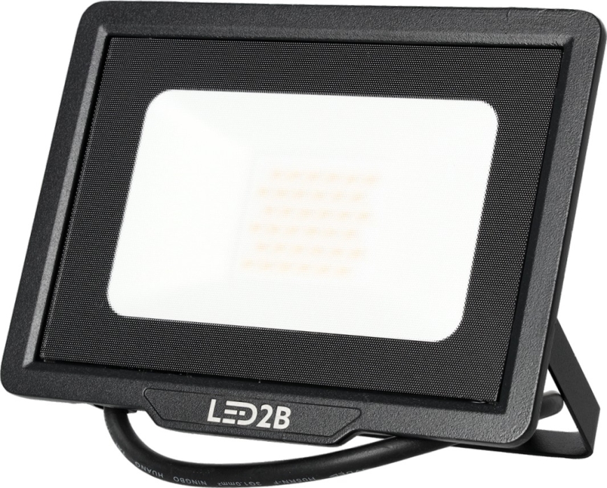 LED strålkastare för utomhusbruk LED/30W/230V 6500K IP65