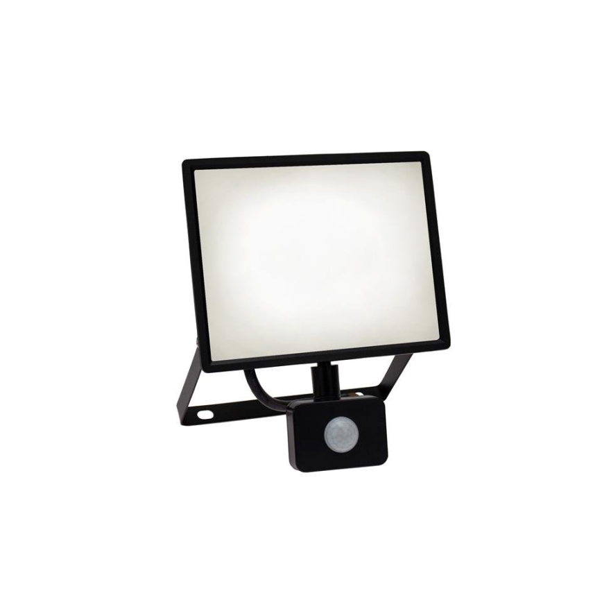 LED strålkastare för utomhusbruk med en sensor NOCTIS LUX 3 LED/50W/230V 4000K IP44 svart