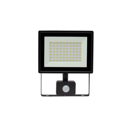 LED strålkastare för utomhusbruk med en sensor NOCTIS LUX 3 LED/50W/230V 4000K IP44 svart