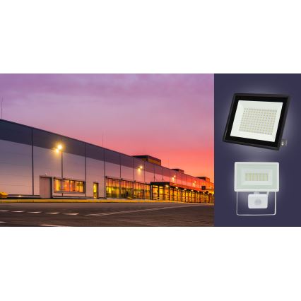 LED strålkastare för utomhusbruk NOCTIS LUX 3 LED/100W/230V 4000K IP65 vit