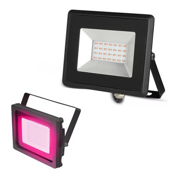 LED strålkastare LED/20W/230V IP65 rosa belysning