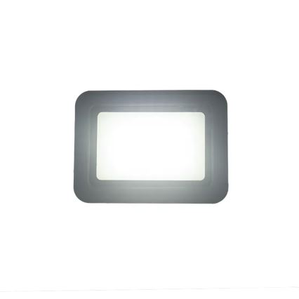 LED Strålkastare LED/30W/230V 4000K IP65